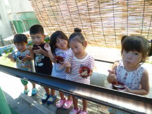 3歳児の食べている様子